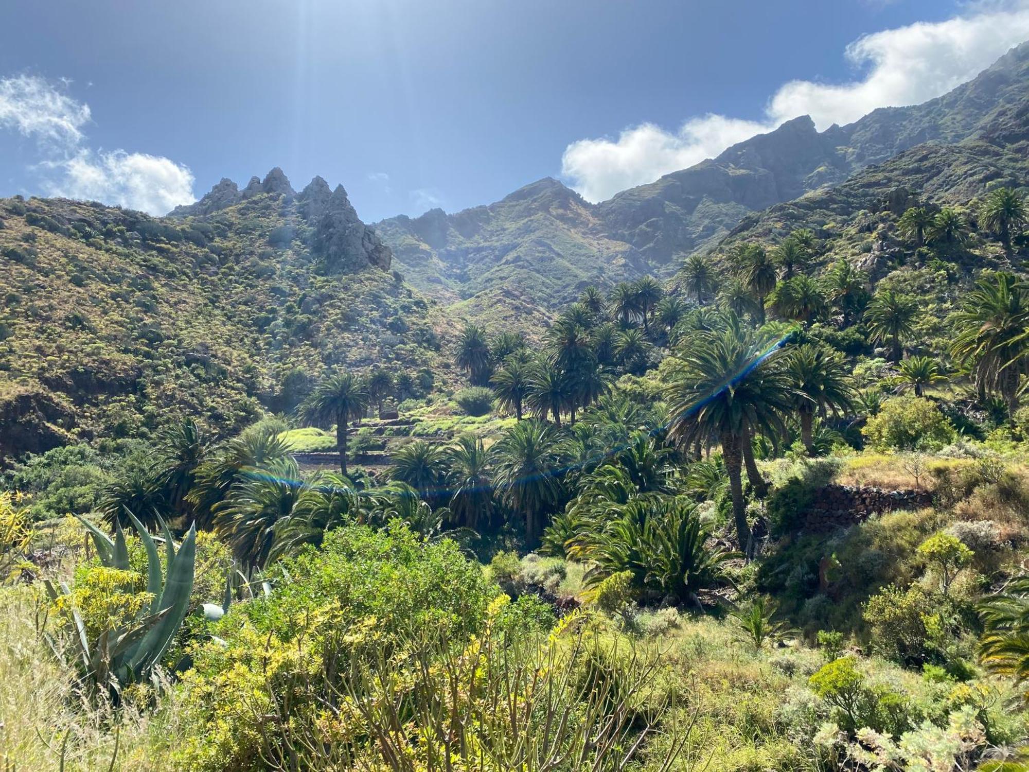 Biofinca Casa El Riego Güimar Exteriör bild
