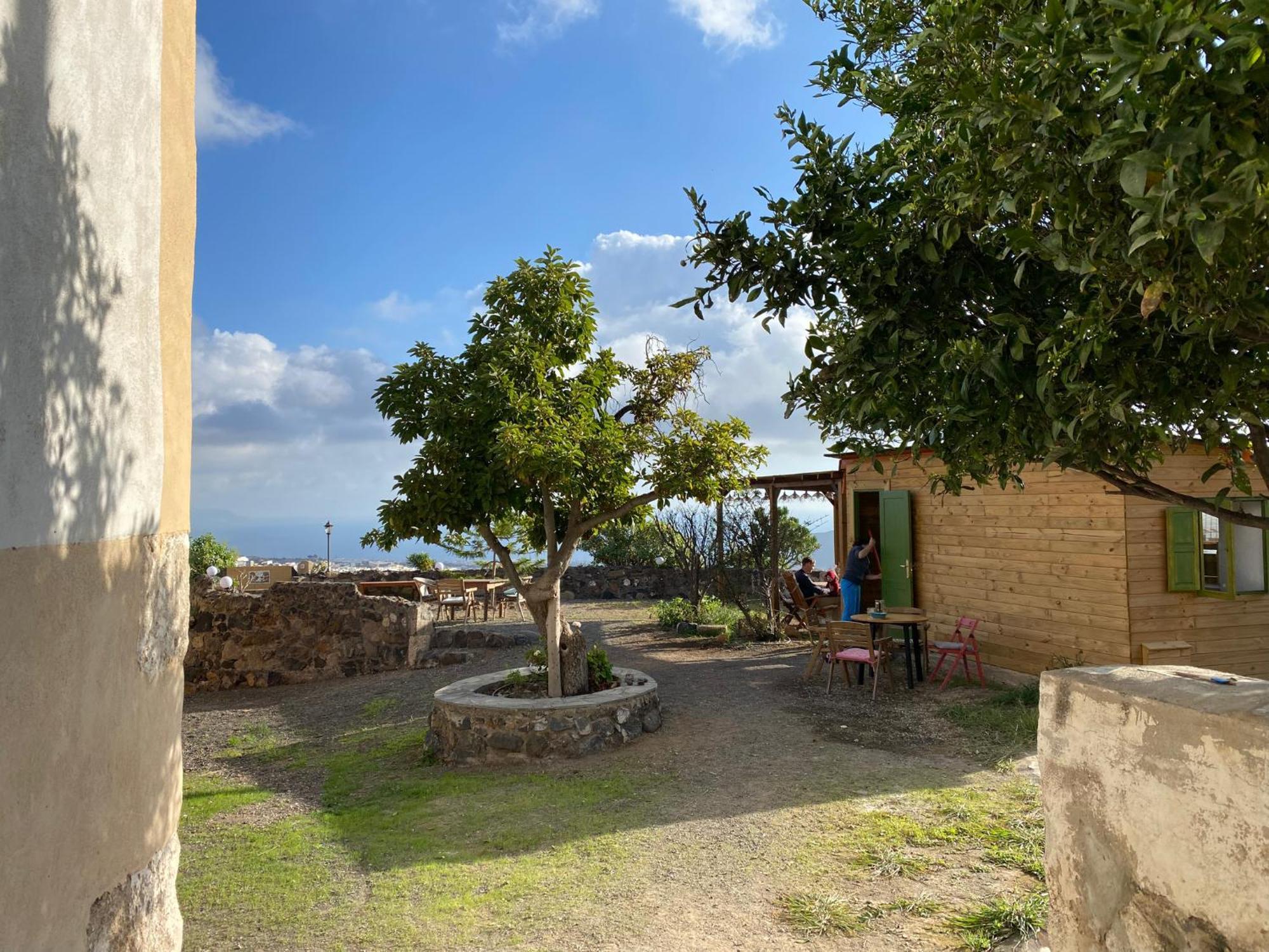 Biofinca Casa El Riego Güimar Exteriör bild