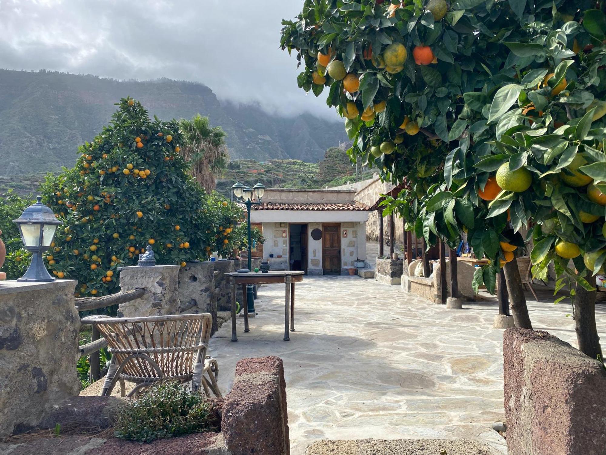 Biofinca Casa El Riego Güimar Exteriör bild
